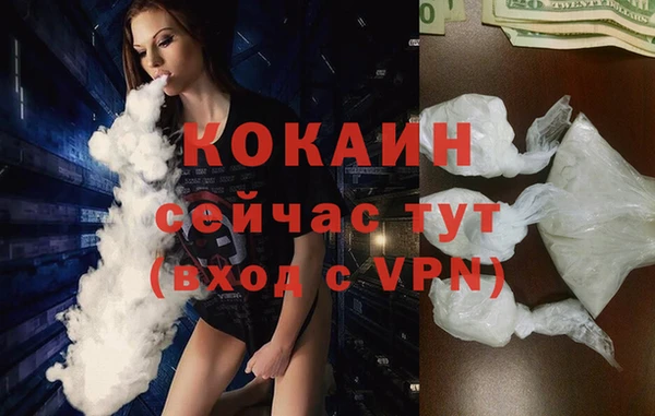 шишки Семикаракорск