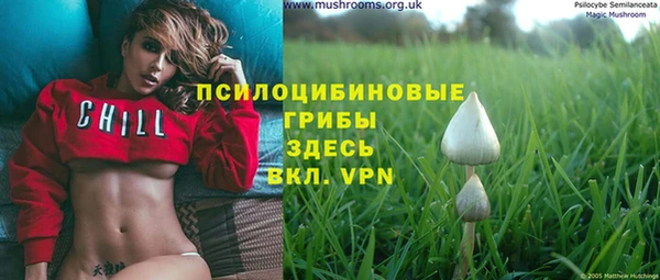 прущая мука Абаза